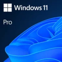 Windows 11 PRO